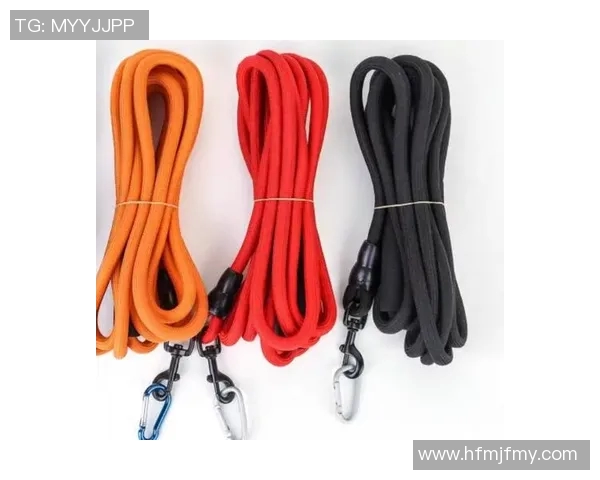 滑板战术解析：成都滑板队如何构建高效转换体系与战术协同