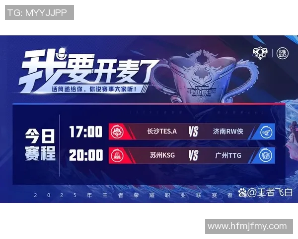 王者荣耀专题深入分析TES战队的团队配合与战术策略
