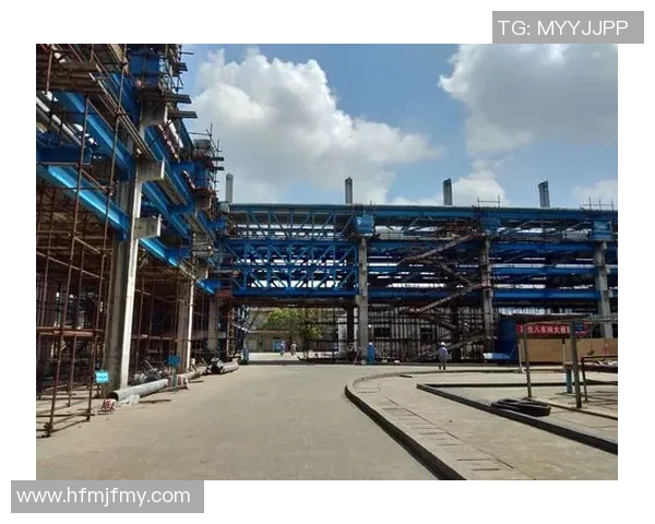 张帆：从平凡到卓越的奋斗历程与人生启示